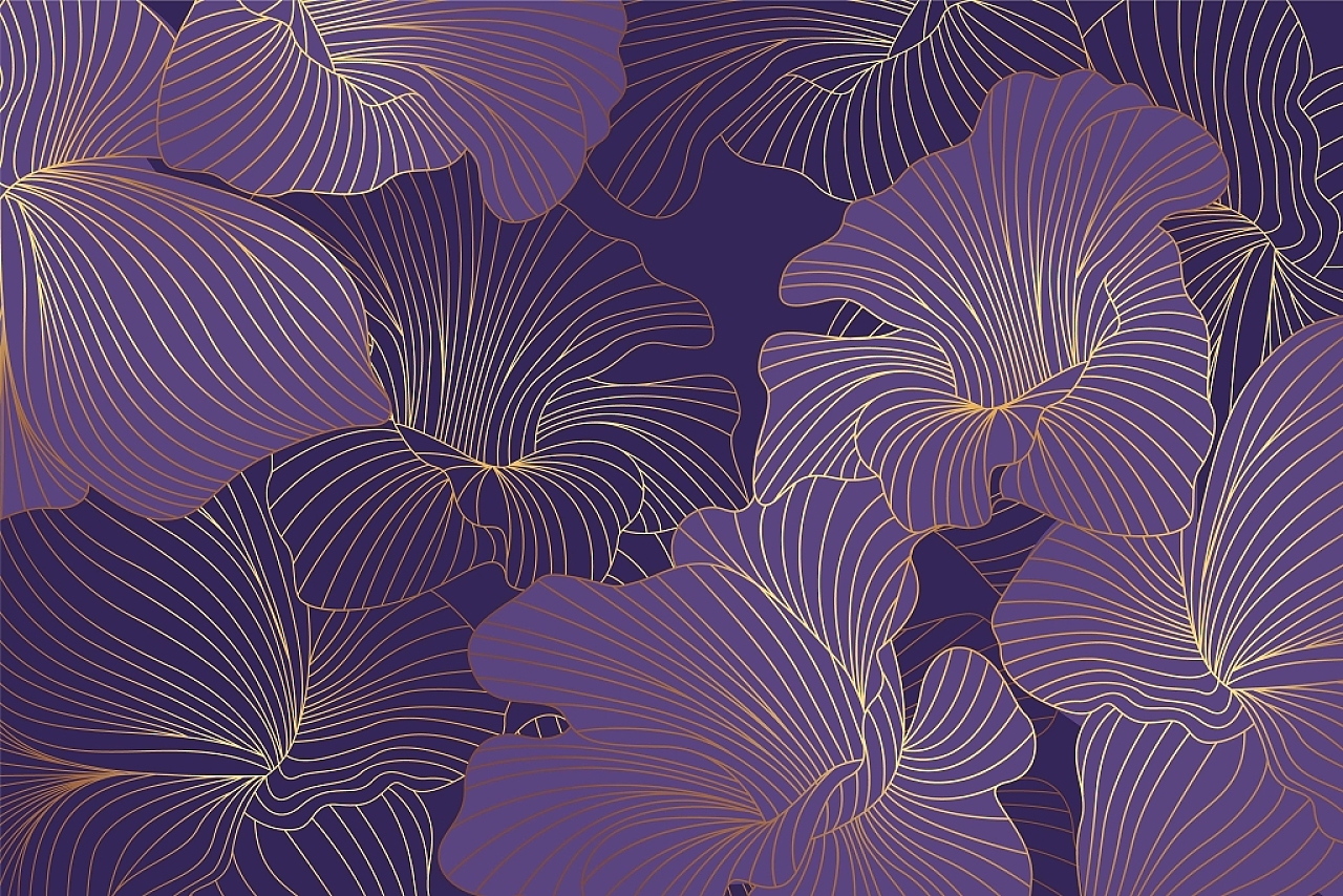 紫色花背景图片素材免费下载 图星人