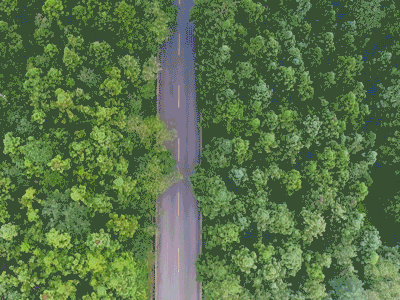 森林公路梦想在路上GIF动态图五四艺术字