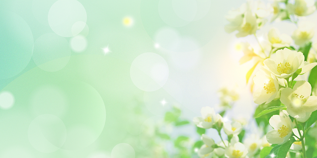 绿色清新花朵阳光光晕展板背景夏天夏季七月展板背景