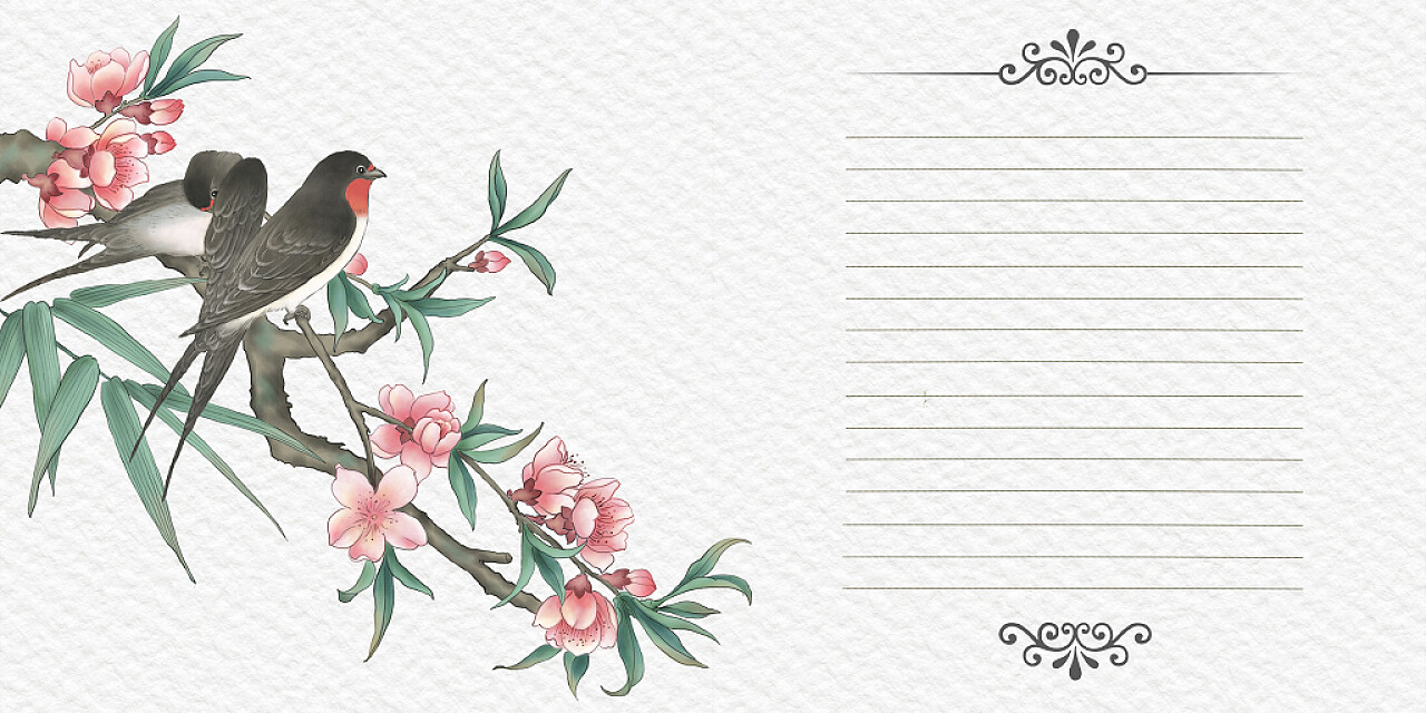 白色中国风纸质纹理欧式边框花鸟信纸展板背景