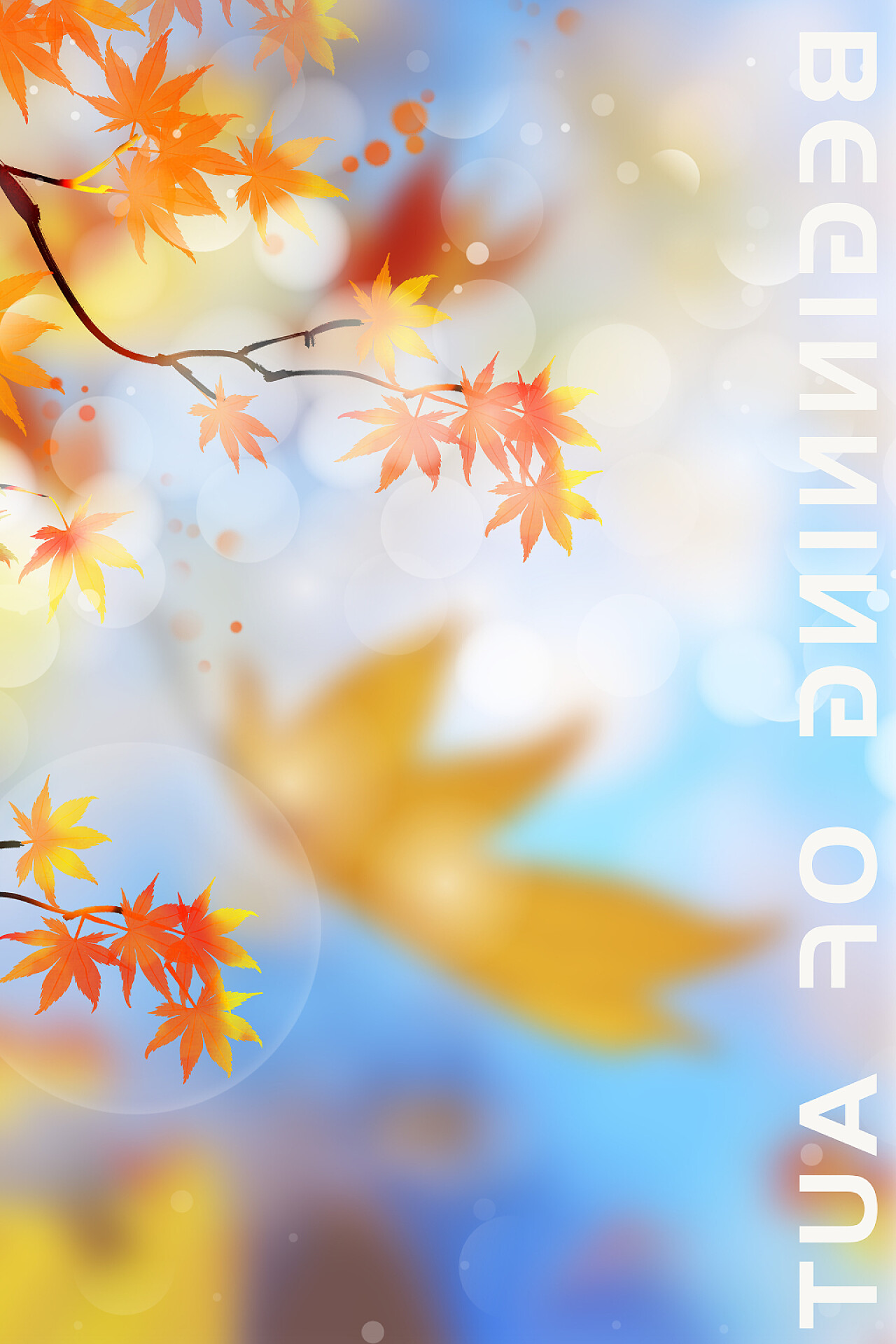 蓝色简约枫叶白光秋天秋季秋风海报背景秋天秋季秋分