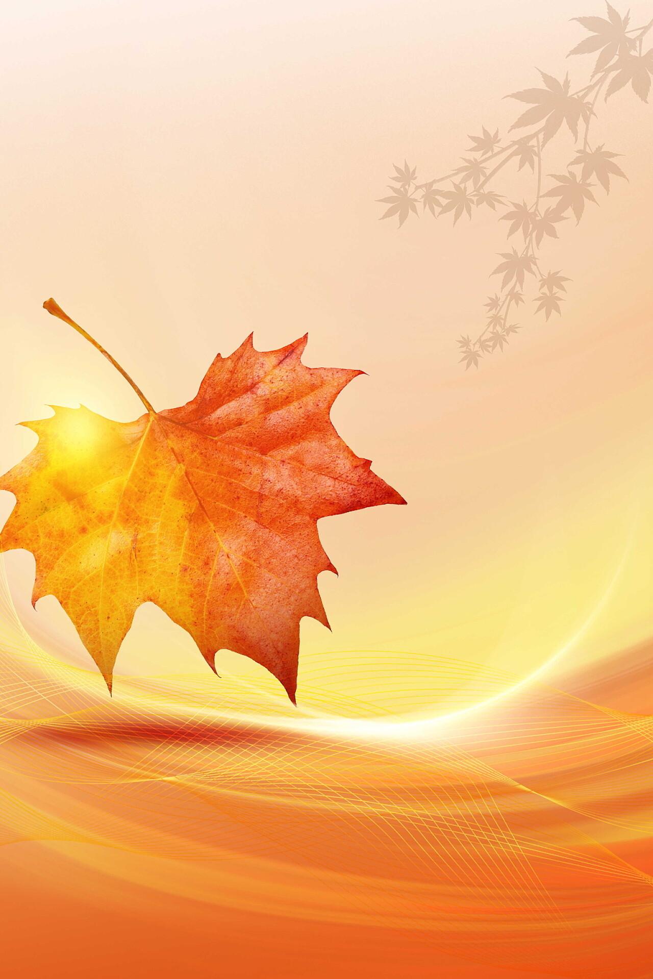 秋天唯美枫叶光效线条背景海报秋天秋季秋分