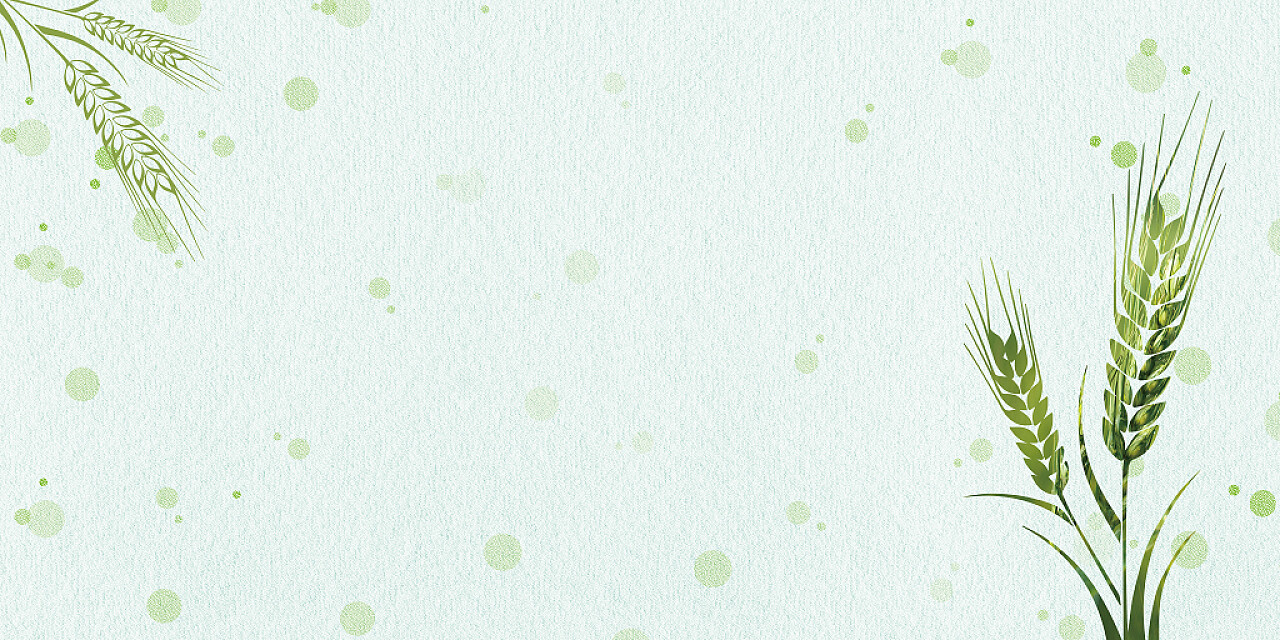 绿色纹理背景圆麦穗简约弥散唯美文艺小清新节气小满展板背景