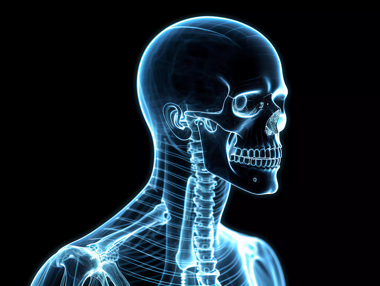 医疗科技X射线三维绘制骨骼