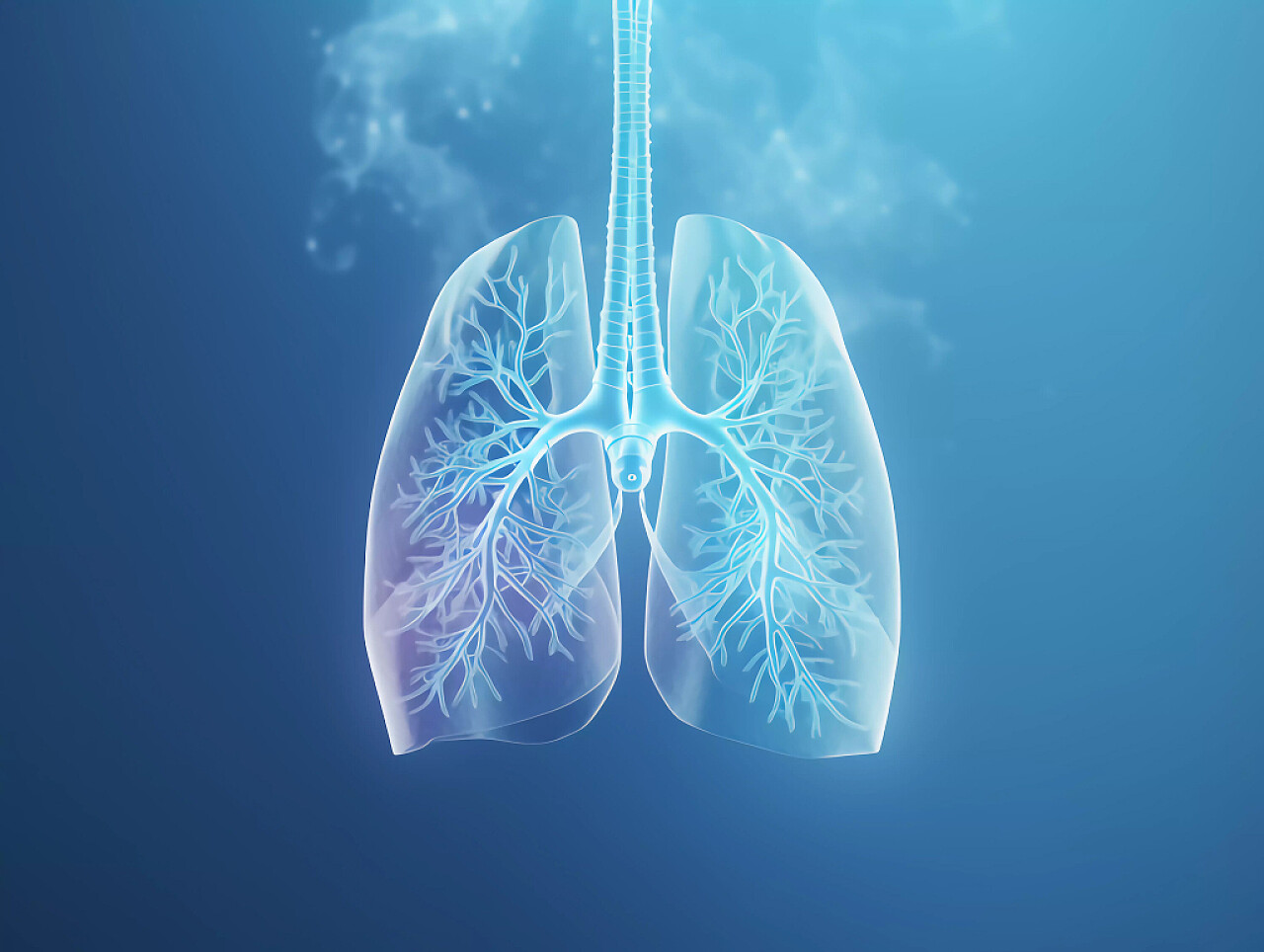 医疗科技人体肺部呼吸系统全息图