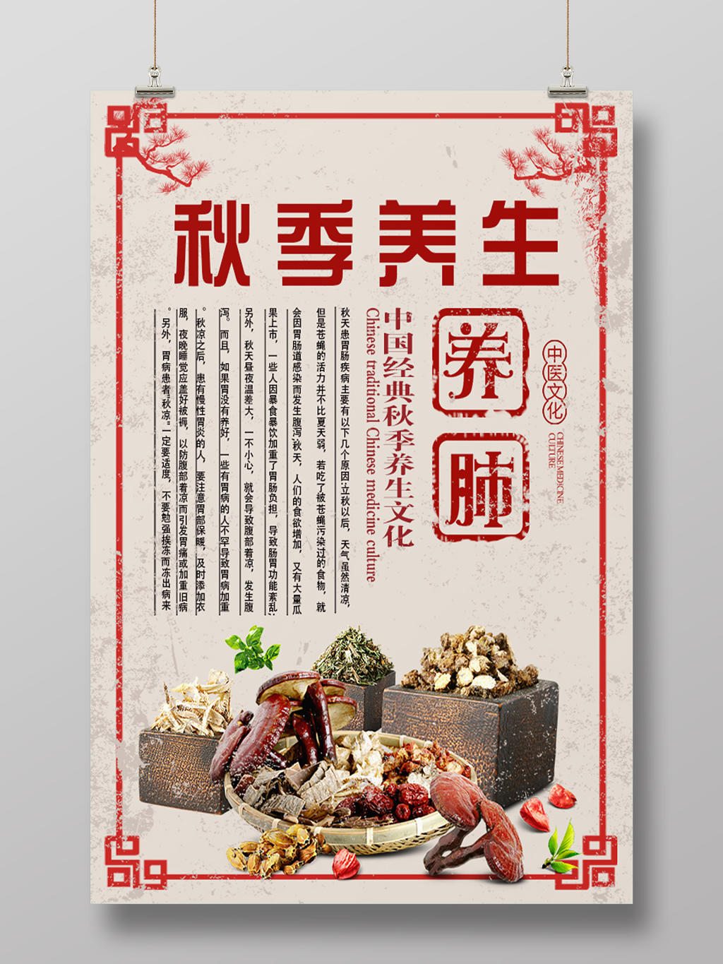 中国经典药物养生文化秋季养生海报