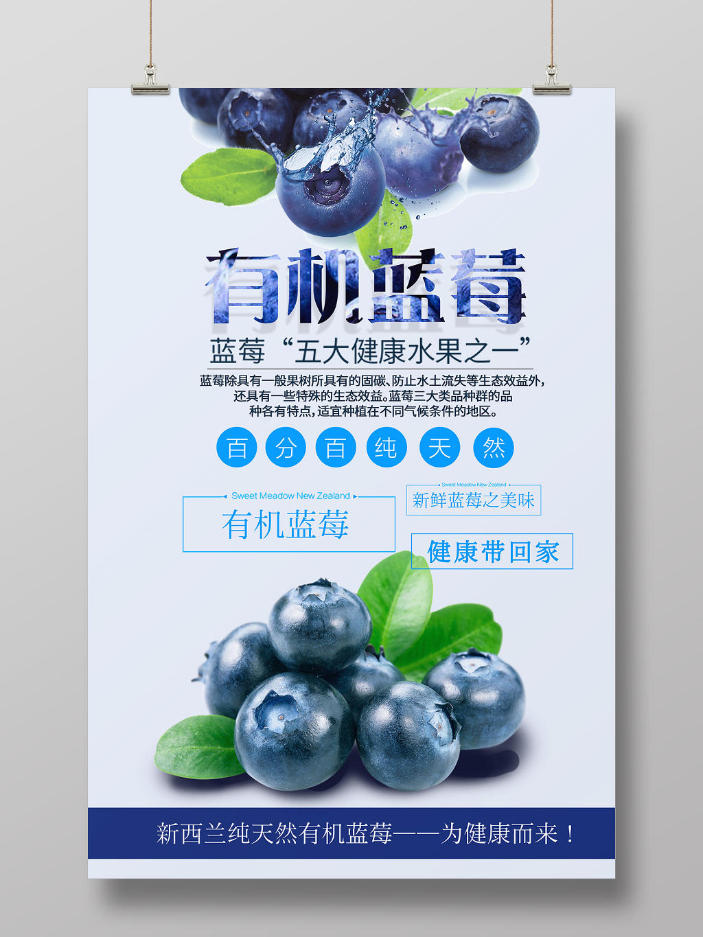 蓝色有机天然新鲜蓝莓水果海报