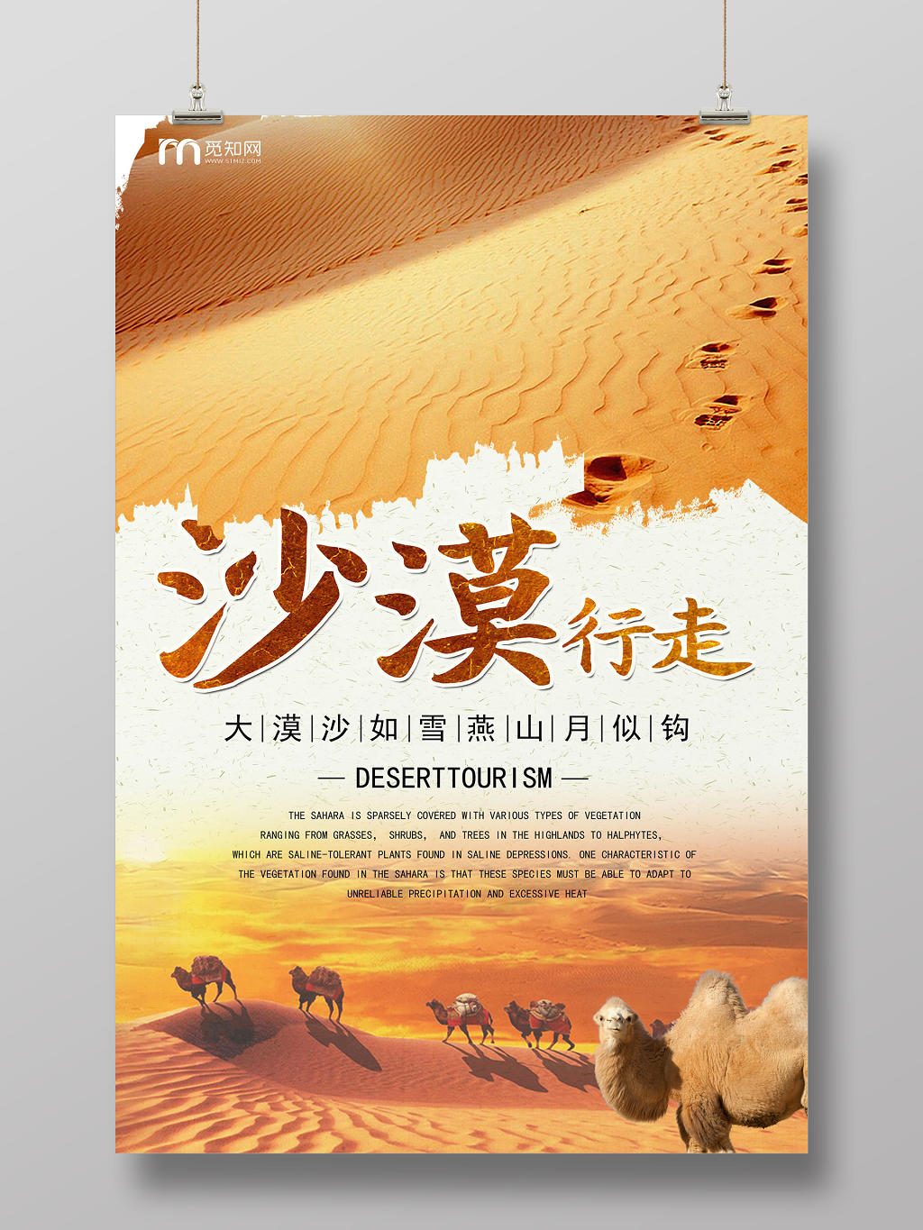 金色夕阳骆驼沙漠行走旅行旅游海报
