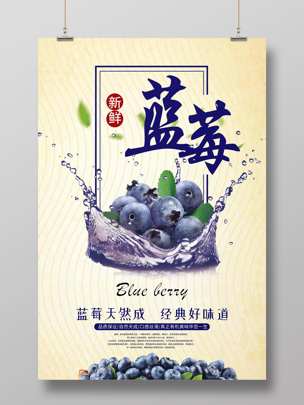 简单大气水果蓝莓促销海报