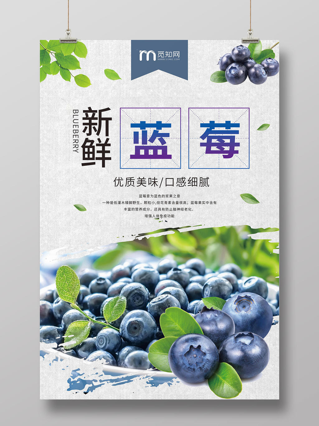 时尚简约新鲜蓝莓优质美味促销海报