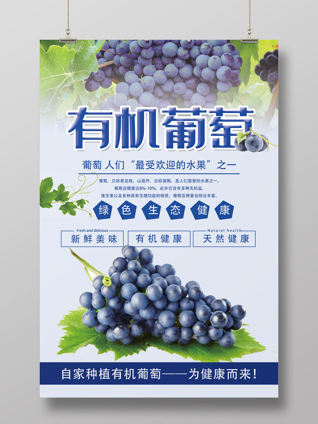 青色创意水果葡萄有机葡萄海报