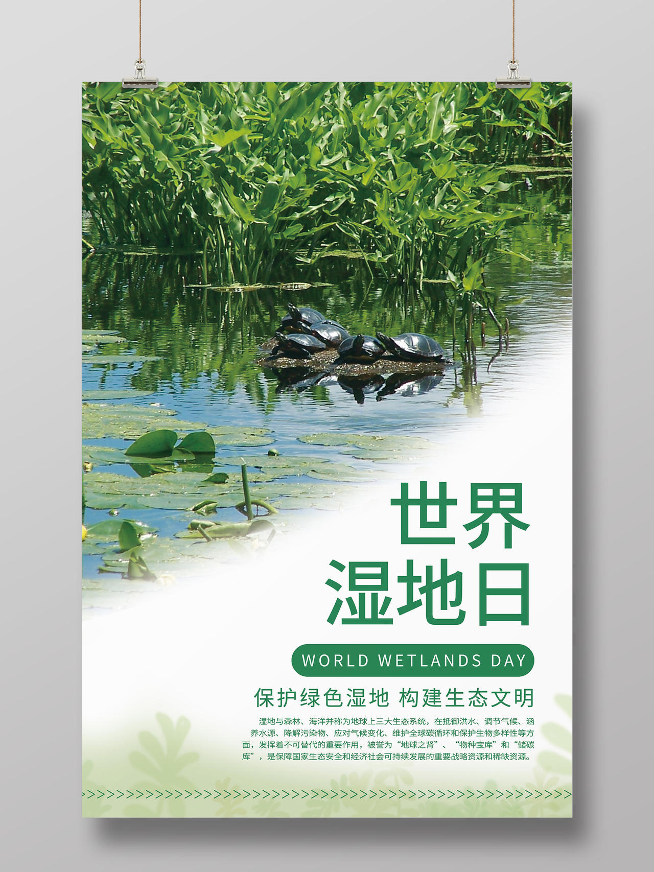 绿色实景简约世界湿地日保护湿地海报