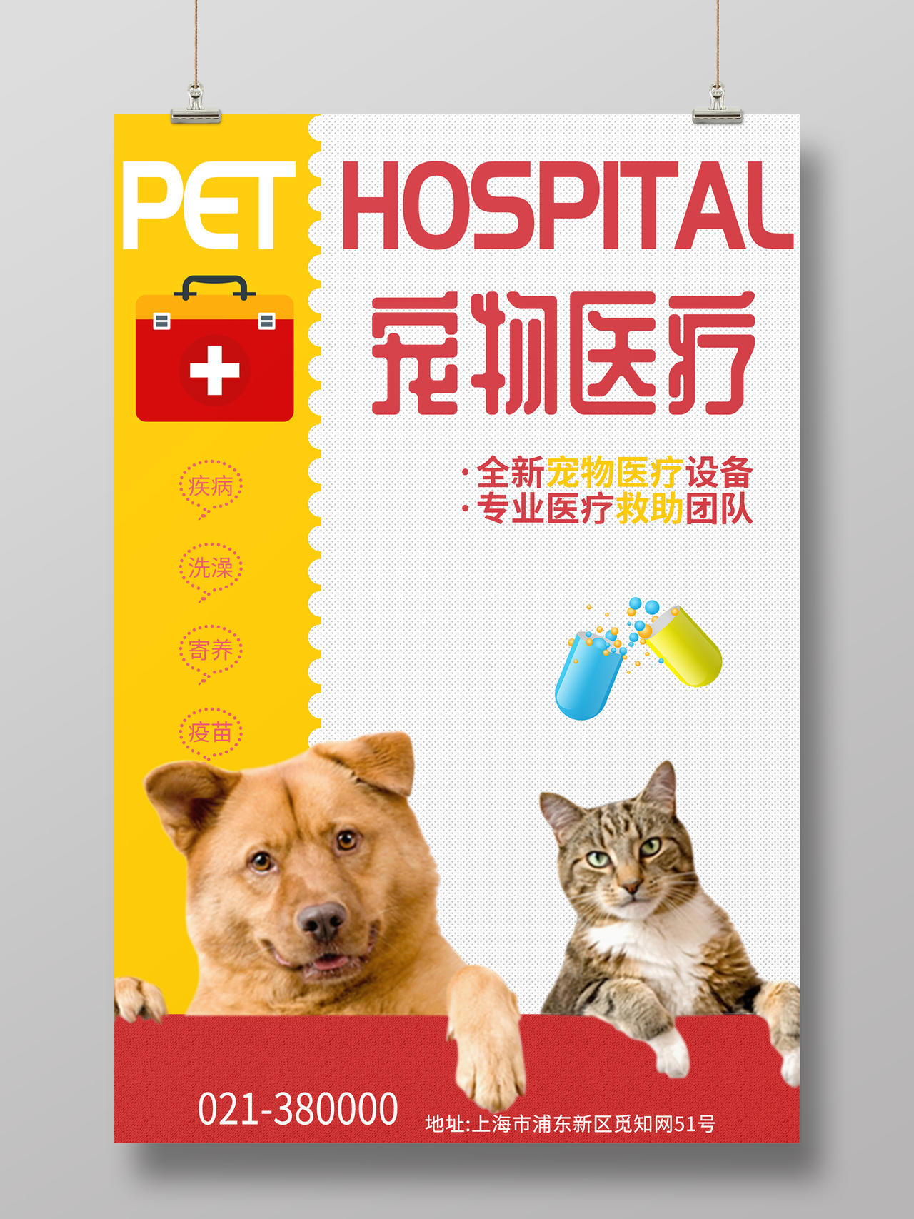 宠物店宠物医疗宣传海报设计
