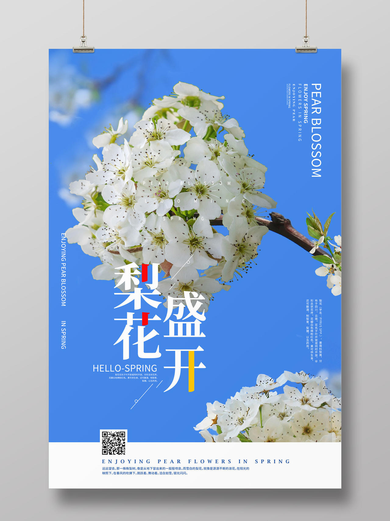 蓝色清新梨花盛开春季赏花梨花宣传海报梨花海报