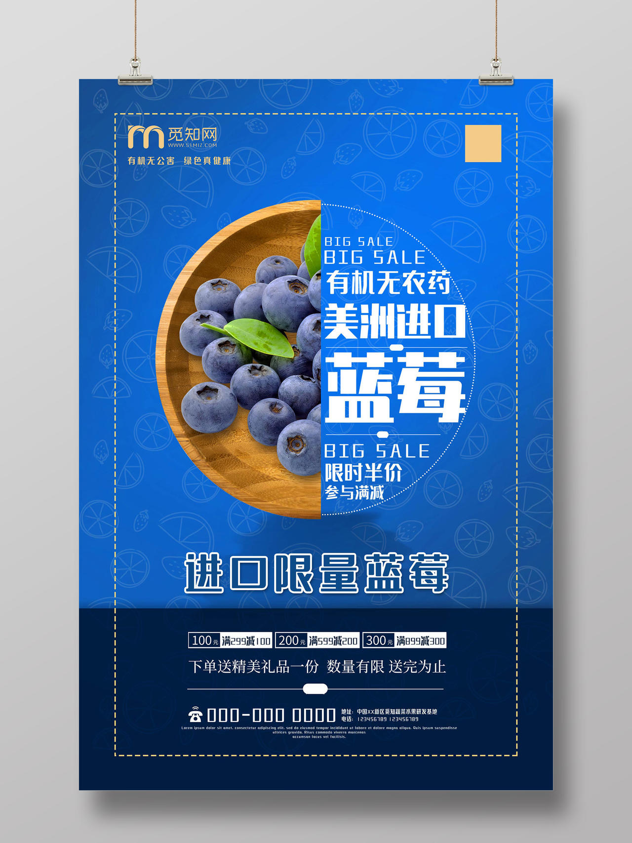 蓝色简约进口限量蓝莓水果促销海报