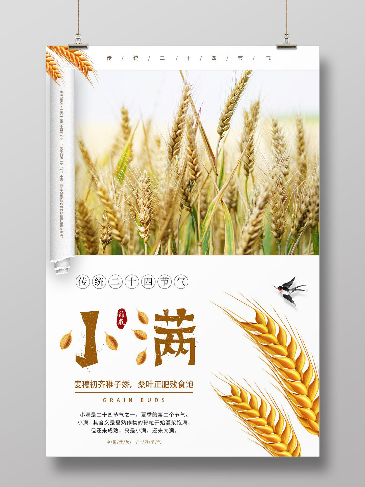 白色创意卷纸麦子麦田传统二十四节气小满海报