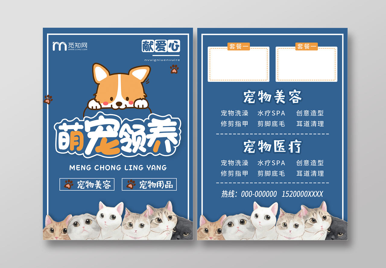 蓝色宠物店宠物领养海报宣传单宠物店宠物海报