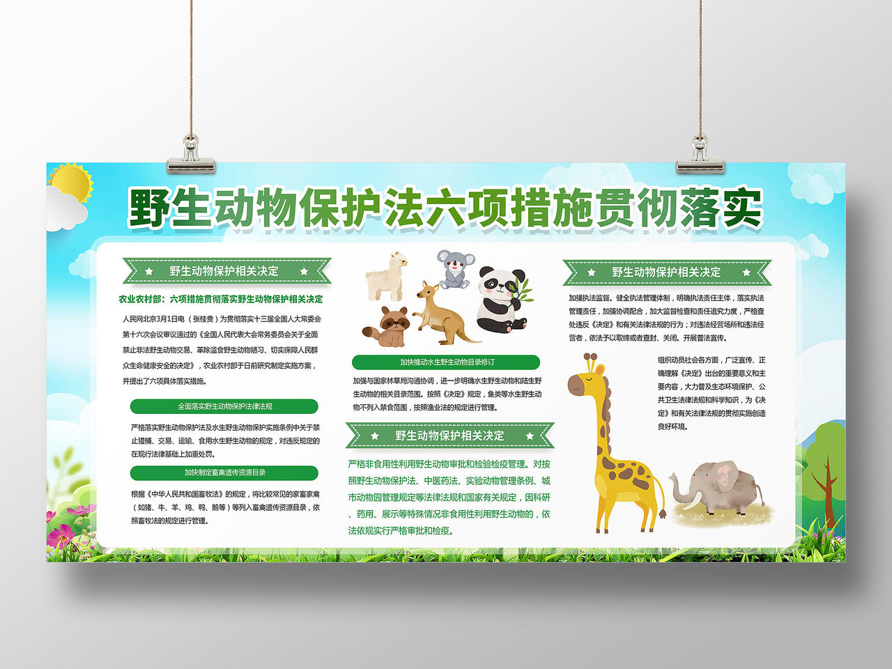 绿色环保城市动物野生动物保护法展板宣传保护动物
