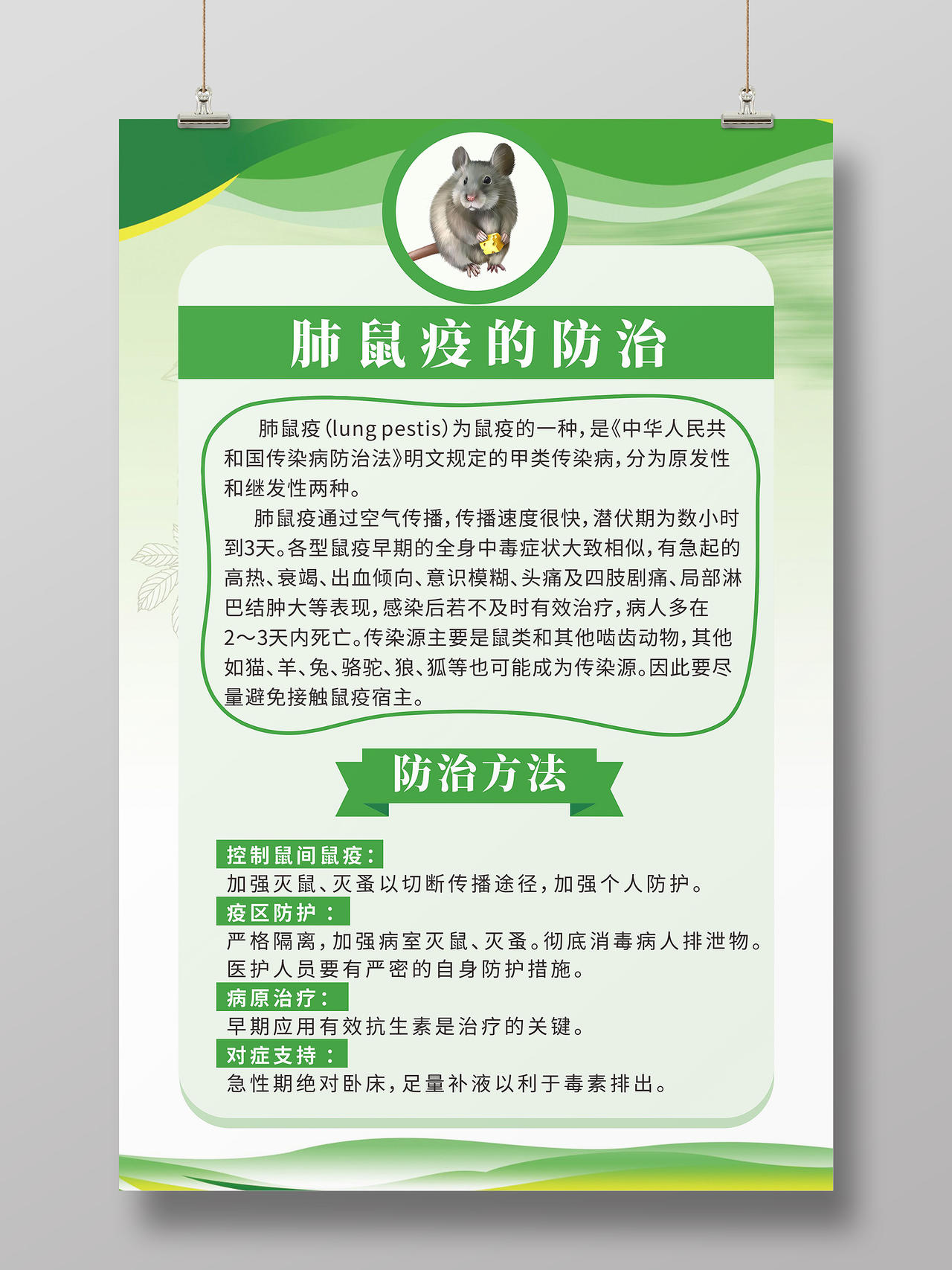 绿色简约线条背景健康教育预防鼠疫卫生海报健康教育宣传栏鼠疫