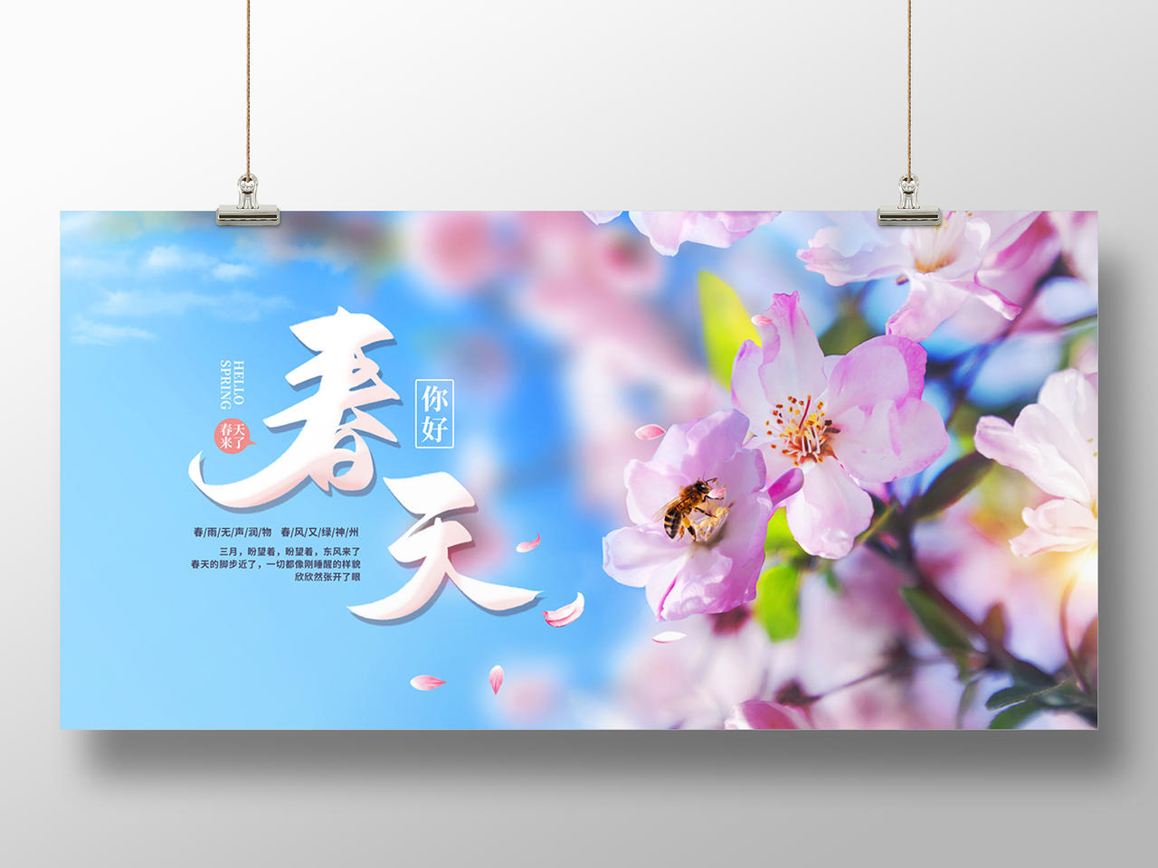 蓝色清新花朵风景春天节日展板