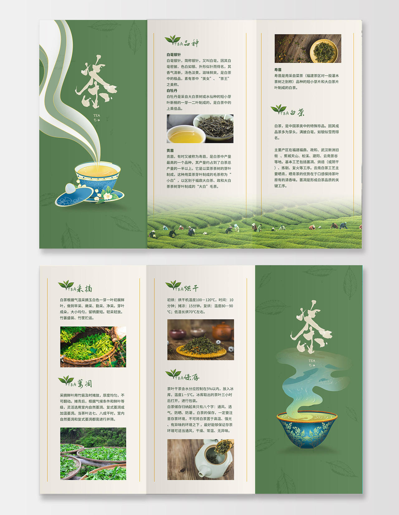 绿色简约清新中国茶文化宣传折页中华传统茶道文化三折页茶叶三折页