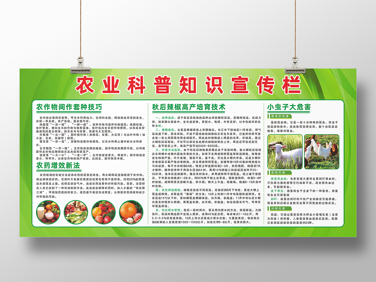 绿色农作物农药农村农业种植知识宣传栏农业科普展板