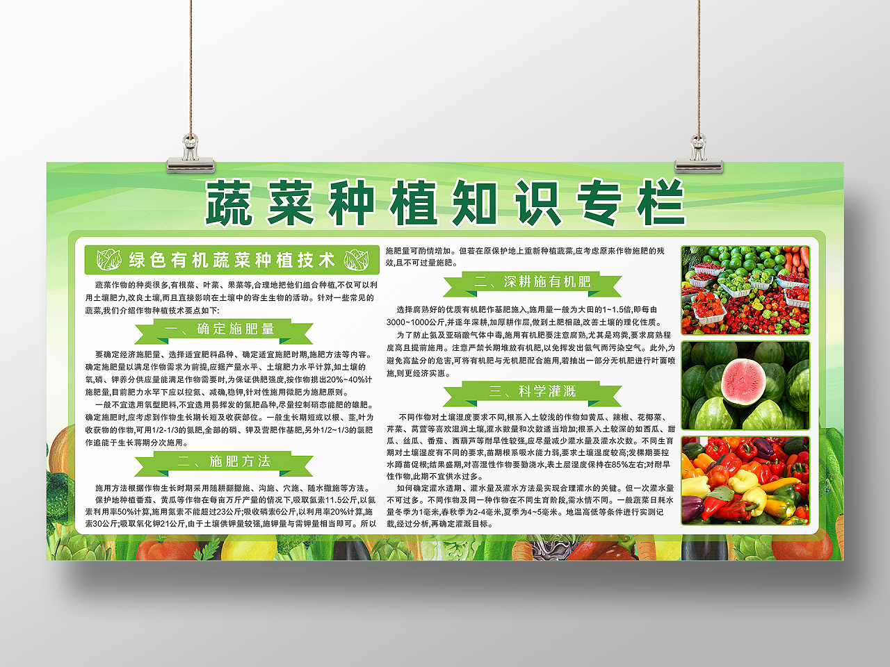 绿色背景蔬菜粮食种植知识宣传栏农业种植展板