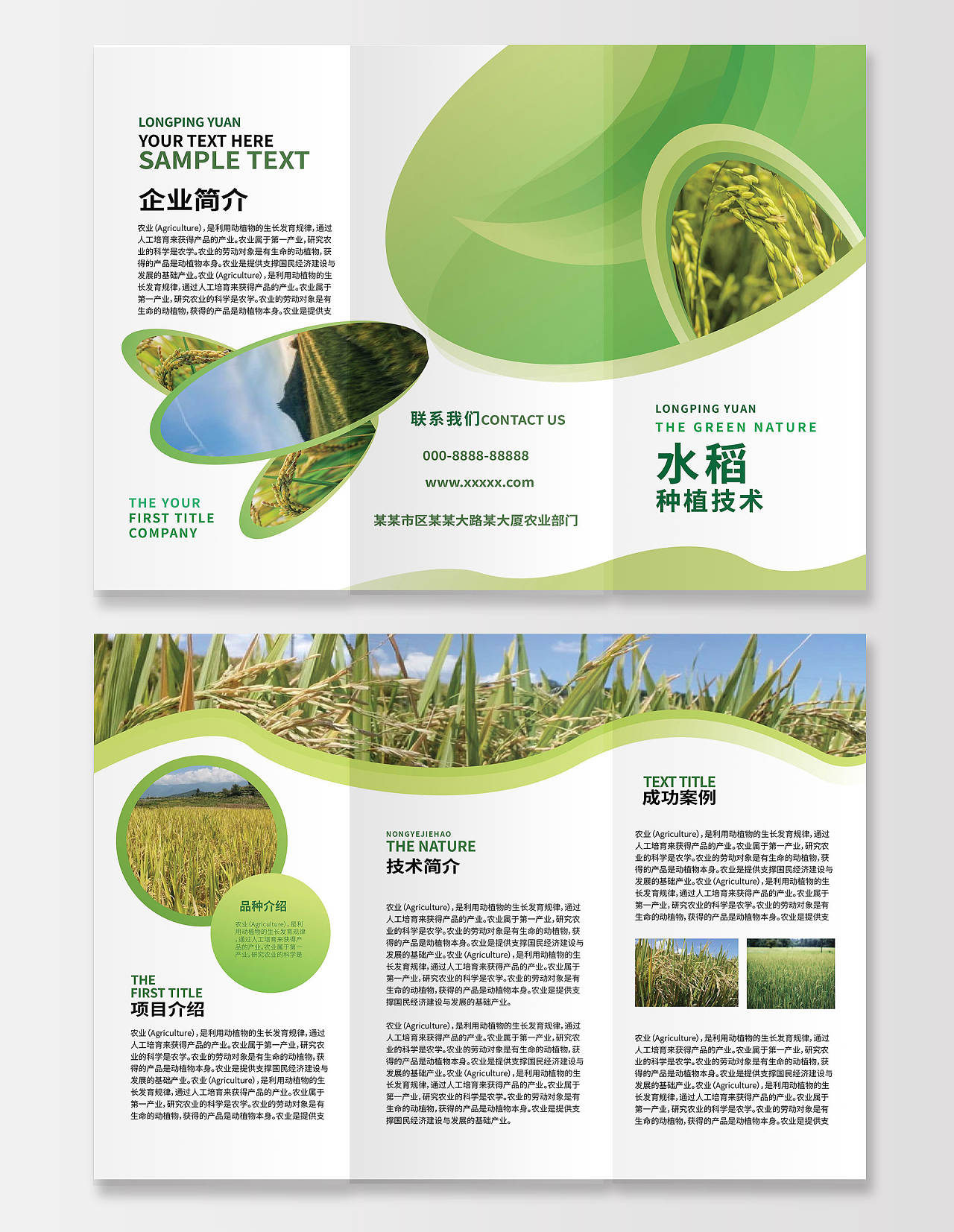 绿色简洁创意水稻种植技术农业三折页设计
