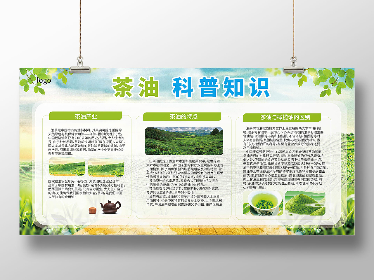 浅绿色背景创意茶油科普小知识山茶油展板设计