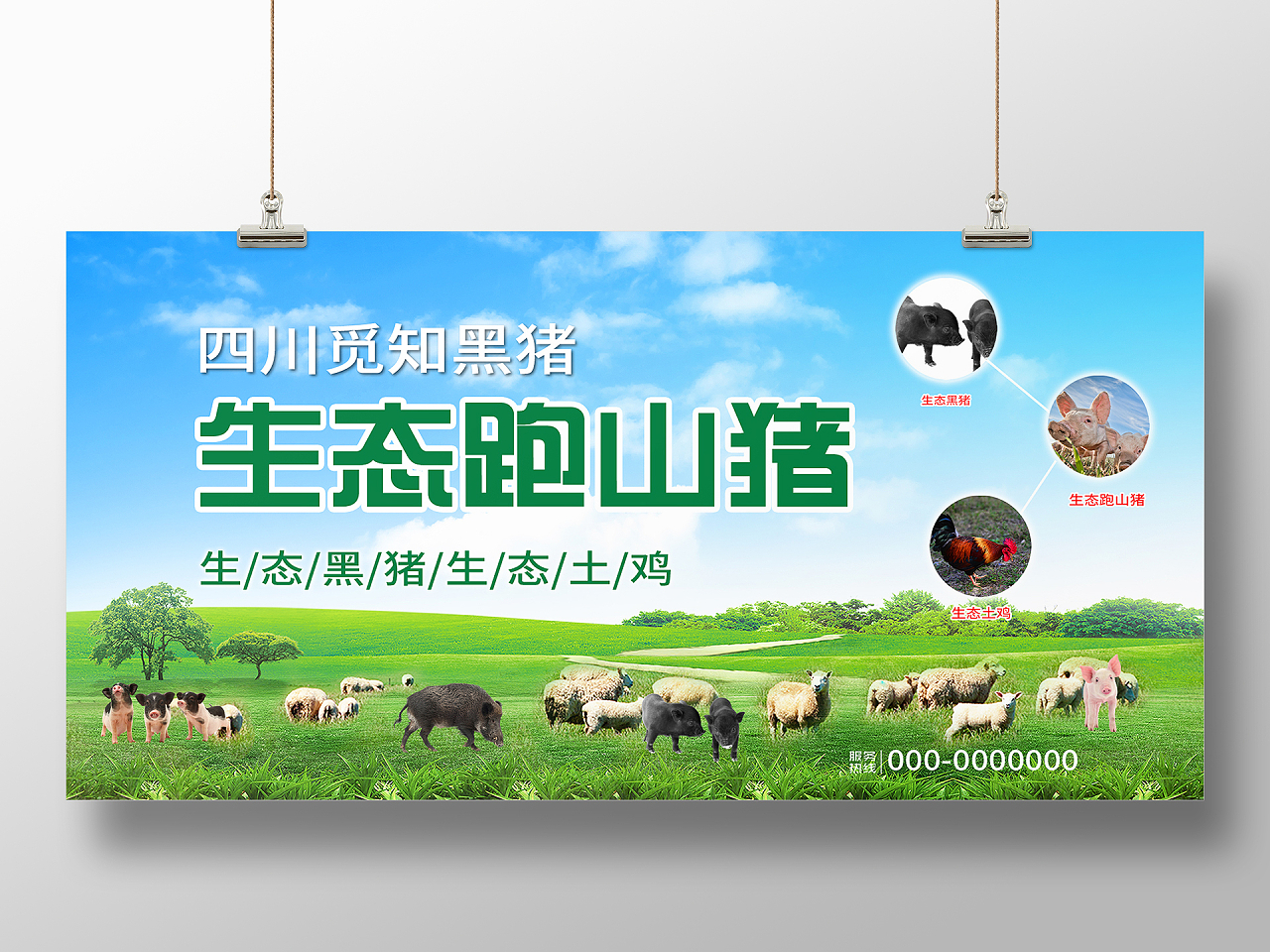 蓝色大气生态跑山猪绿色产品宣传活动展板黑猪展板