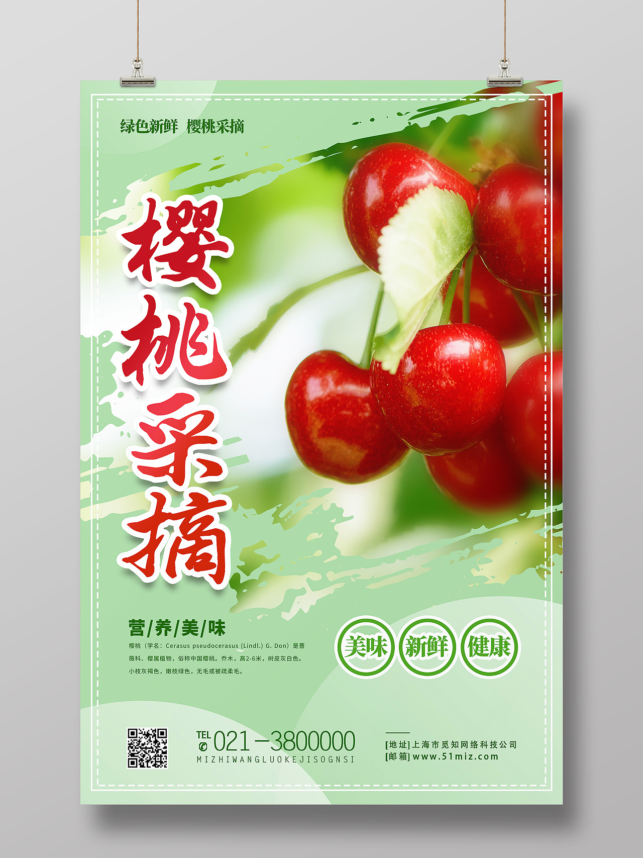 绿色简约樱桃采摘水果美食海报樱桃采摘易拉宝