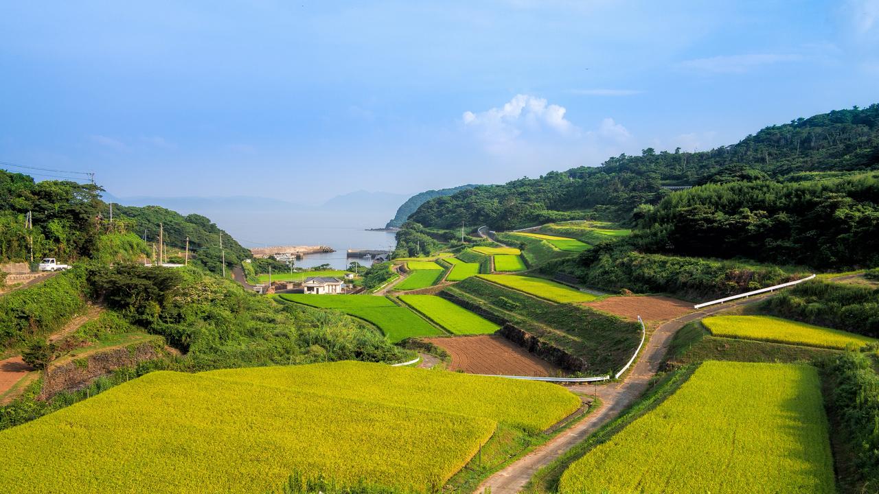 景观风景全景远景乡村农田梯田种植作物远处海面背景图片免费下载 图星人